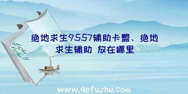 绝地求生9557辅助卡盟、绝地求生辅助