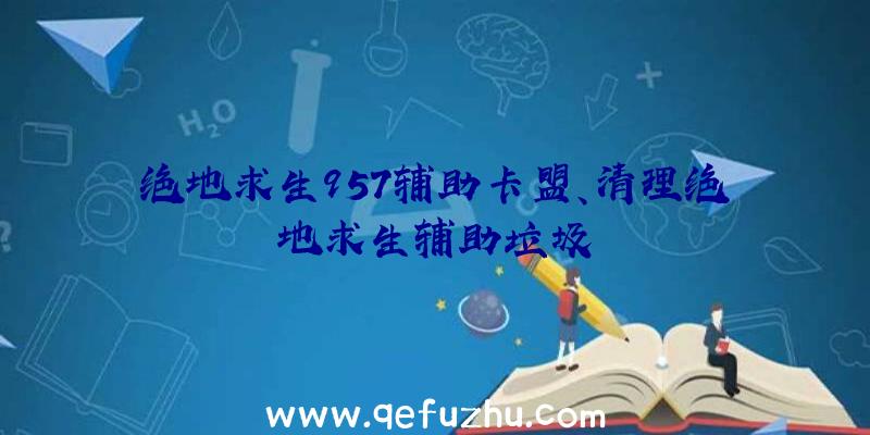 绝地求生957辅助卡盟、清理绝地求生辅助垃圾