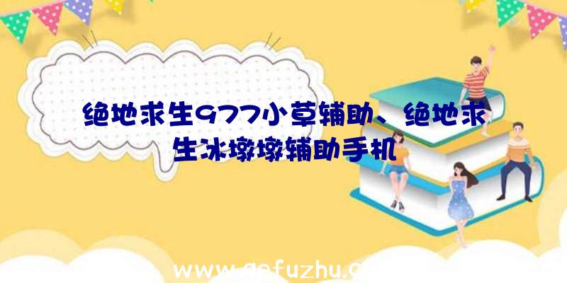 绝地求生977小草辅助、绝地求生冰墩墩辅助手机