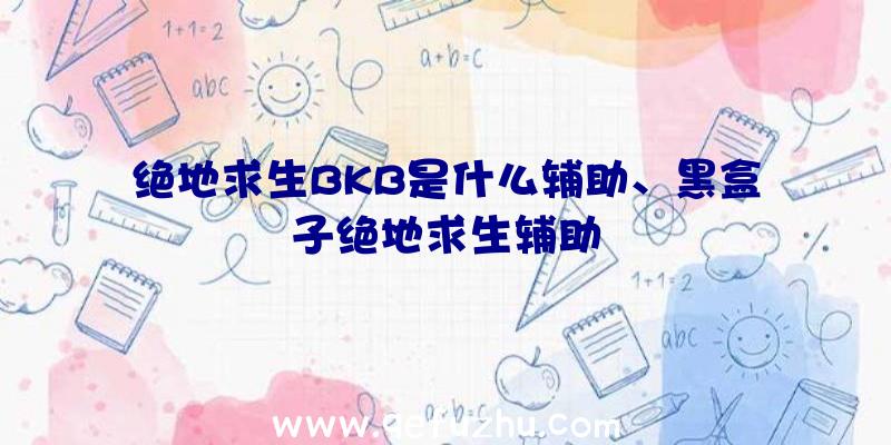 绝地求生BKB是什么辅助、黑盒子绝地求生辅助