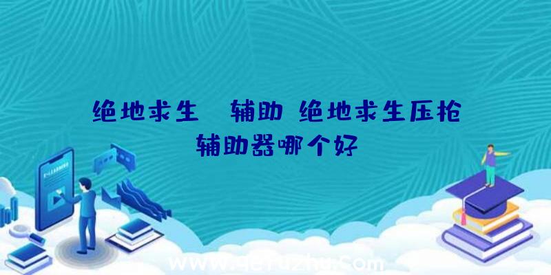 绝地求生DX辅助、绝地求生压枪辅助器哪个好