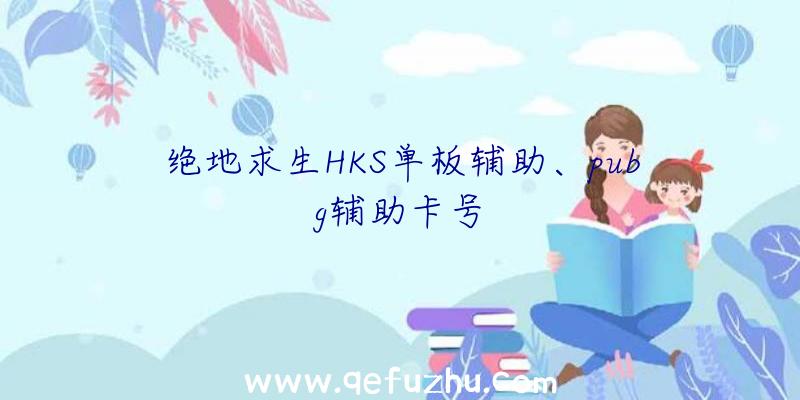 绝地求生HKS单板辅助、pubg辅助卡号