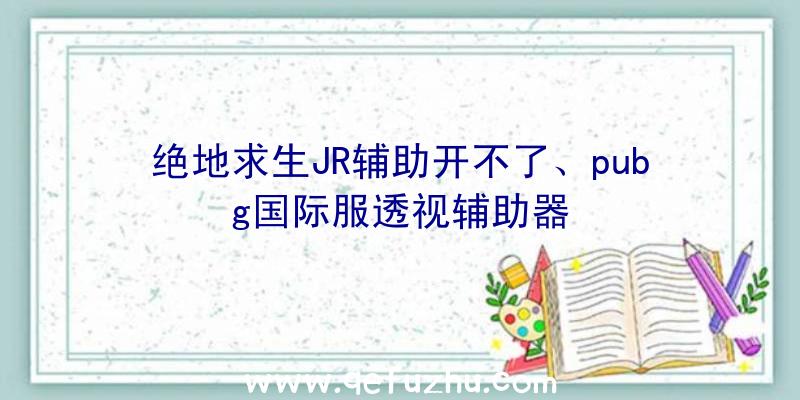 绝地求生JR辅助开不了、pubg国际服透视辅助器