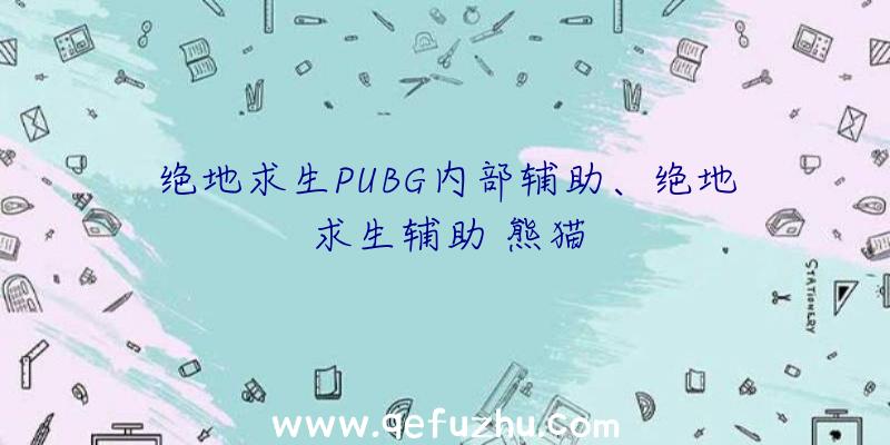 绝地求生PUBG内部辅助、绝地求生辅助