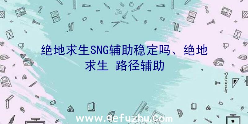 绝地求生SNG辅助稳定吗、绝地求生