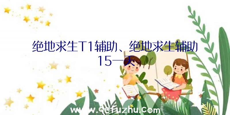 绝地求生T1辅助、绝地求生辅助15一天