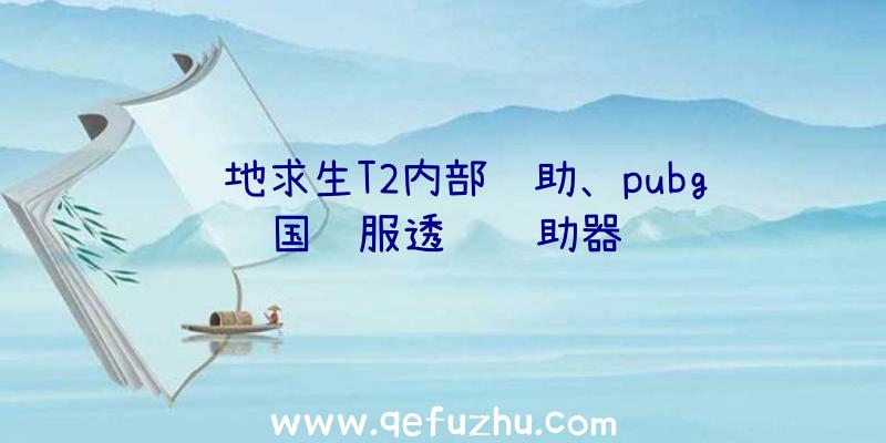 绝地求生T2内部辅助、pubg国际服透视辅助器