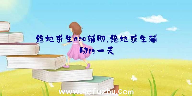 绝地求生ace辅助、绝地求生辅助15一天