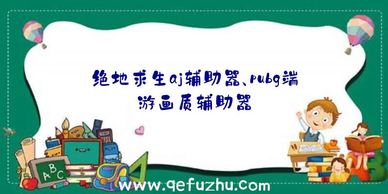 绝地求生aj辅助器、pubg端游画质辅助器