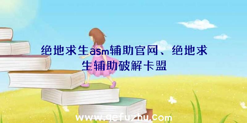 绝地求生asm辅助官网、绝地求生辅助破解卡盟