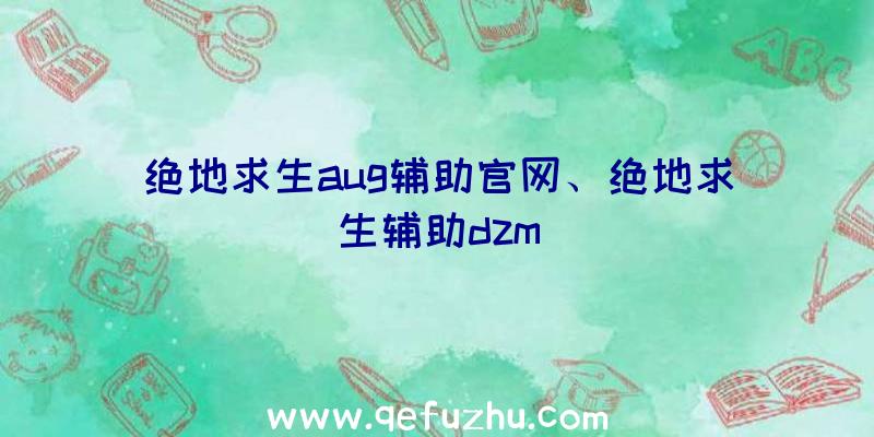 绝地求生aug辅助官网、绝地求生辅助dzm