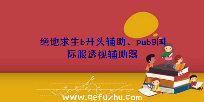 绝地求生b开头辅助、pubg国际服透视辅助器