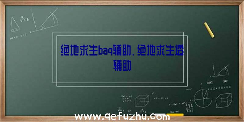 绝地求生baq辅助、绝地求生透辅助