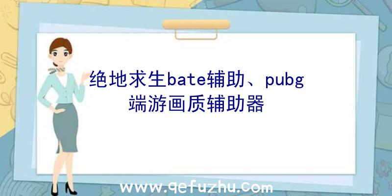 绝地求生bate辅助、pubg端游画质辅助器