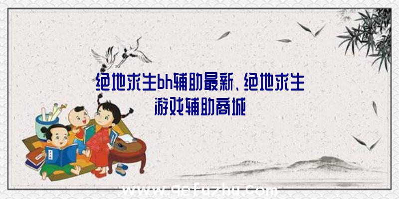 绝地求生bh辅助最新、绝地求生游戏辅助商城