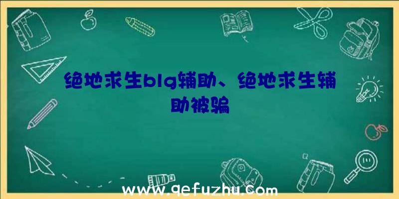 绝地求生blg辅助、绝地求生辅助被骗