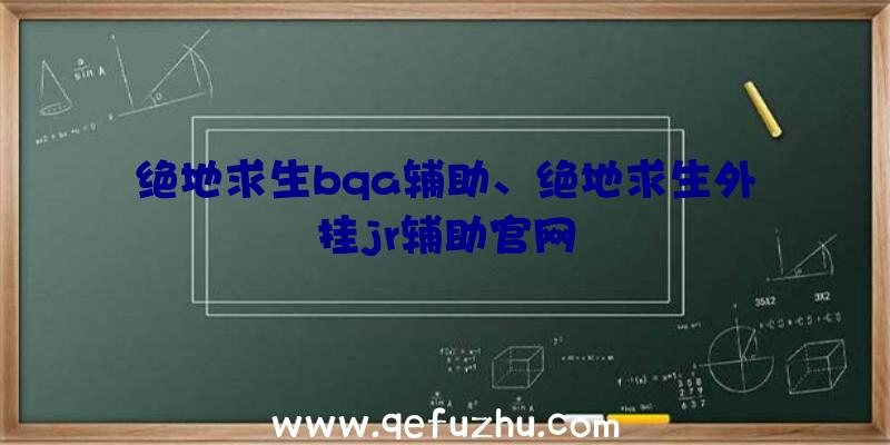 绝地求生bqa辅助、绝地求生外挂jr辅助官网