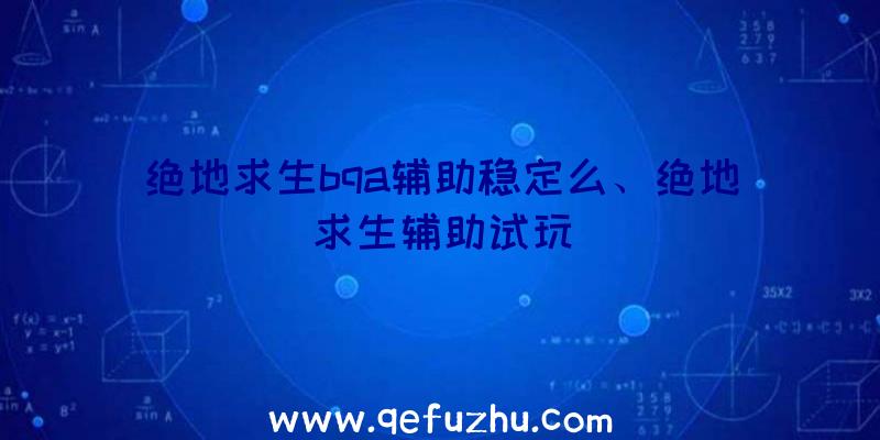 绝地求生bqa辅助稳定么、绝地求生辅助试玩