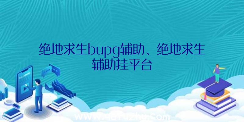 绝地求生bupg辅助、绝地求生辅助挂平台