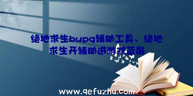 绝地求生bupg辅助工具、绝地求生开辅助进游戏蓝屏