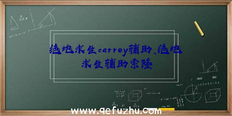 绝地求生carrey辅助、绝地求生辅助索隆