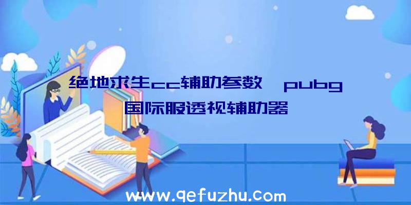 绝地求生cc辅助参数、pubg国际服透视辅助器