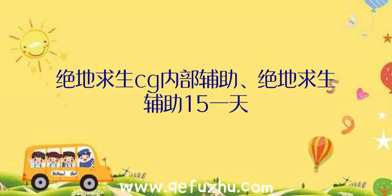 绝地求生cg内部辅助、绝地求生辅助15一天