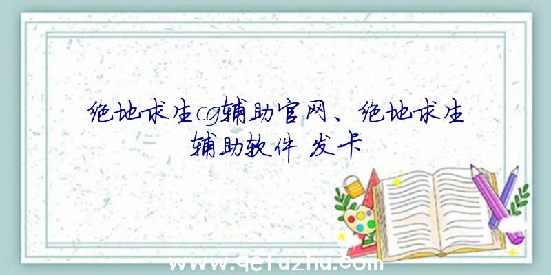 绝地求生cg辅助官网、绝地求生辅助软件