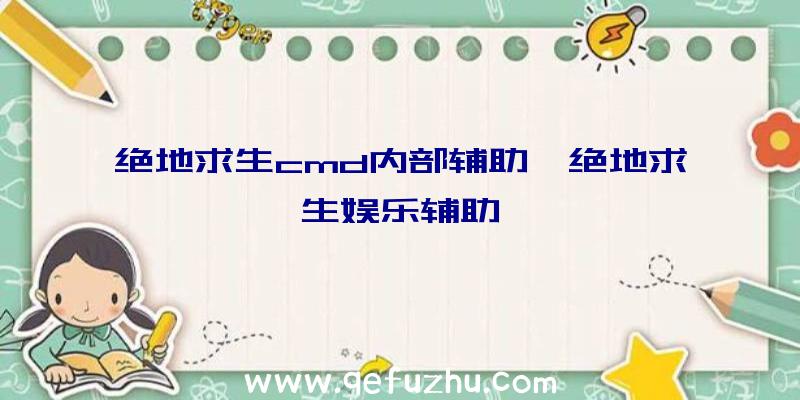 绝地求生cmd内部辅助、绝地求生娱乐辅助