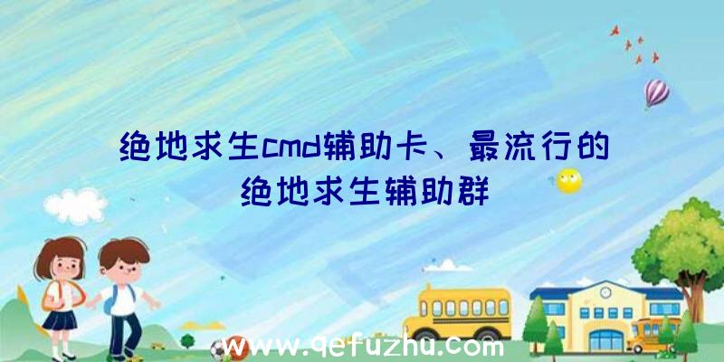 绝地求生cmd辅助卡、最流行的绝地求生辅助群