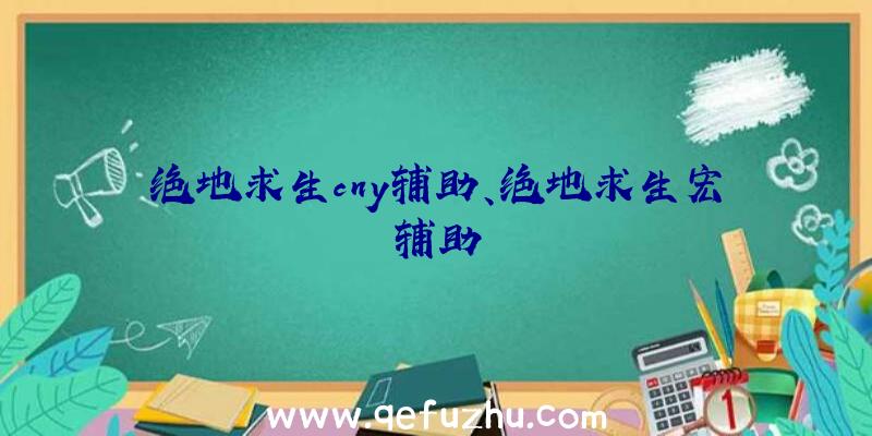 绝地求生cny辅助、绝地求生宏辅助