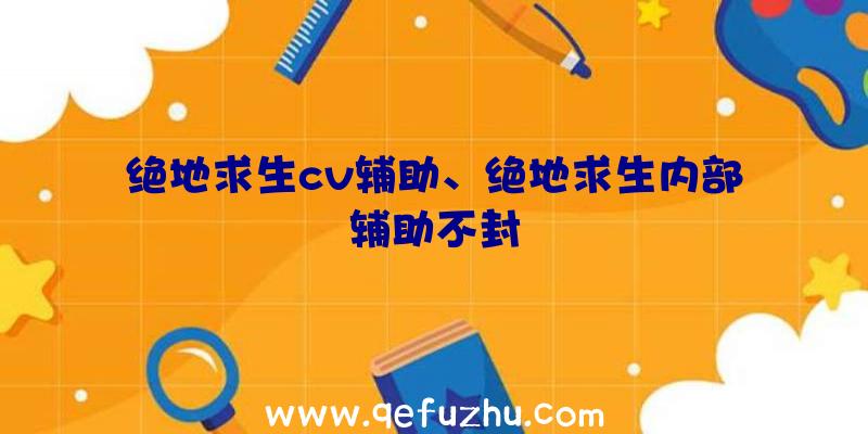 绝地求生cv辅助、绝地求生内部辅助不封