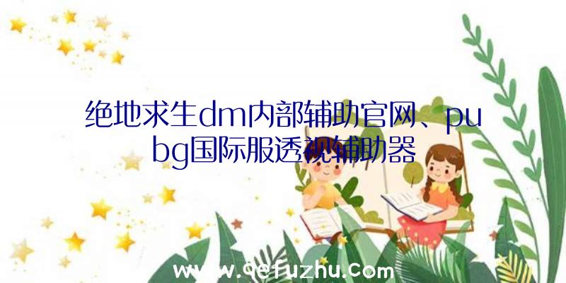 绝地求生dm内部辅助官网、pubg国际服透视辅助器