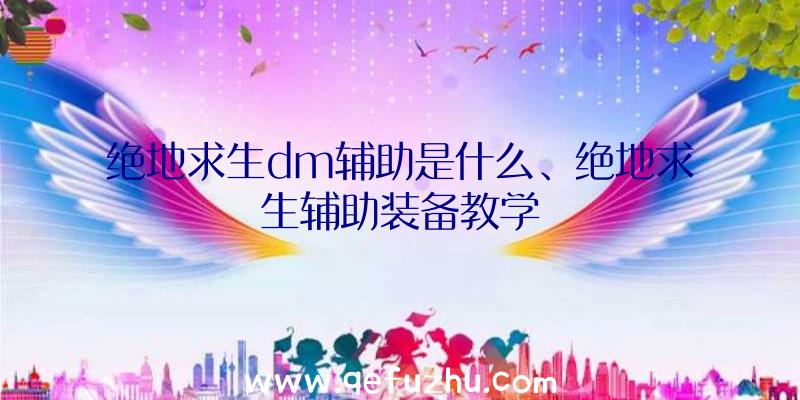 绝地求生dm辅助是什么、绝地求生辅助装备教学