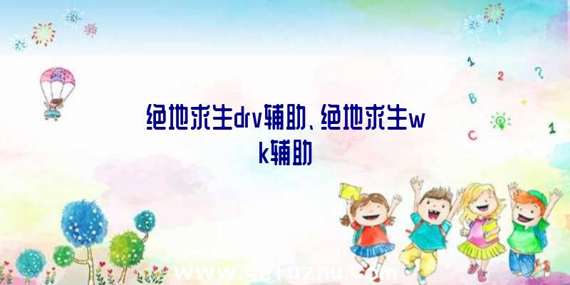 绝地求生drv辅助、绝地求生wk辅助