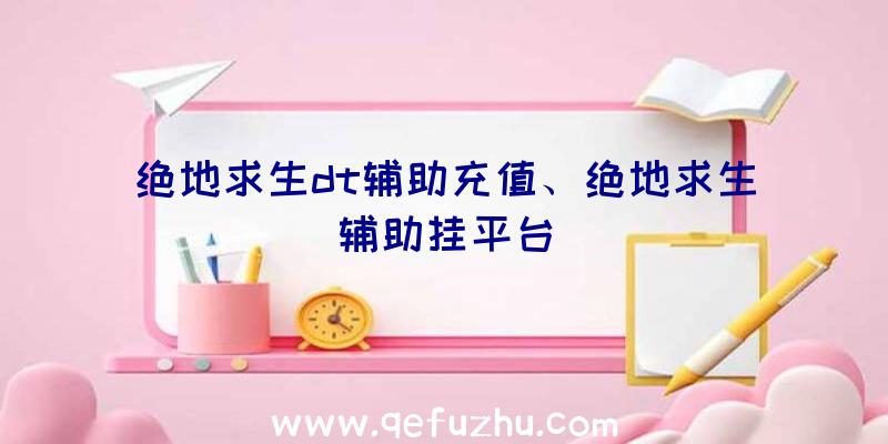 绝地求生dt辅助充值、绝地求生辅助挂平台