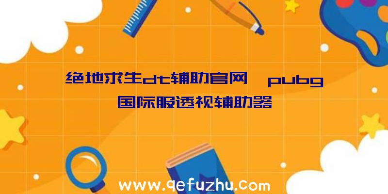 绝地求生dt辅助官网、pubg国际服透视辅助器