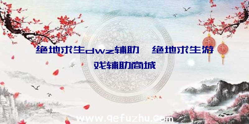 绝地求生dwz辅助、绝地求生游戏辅助商城