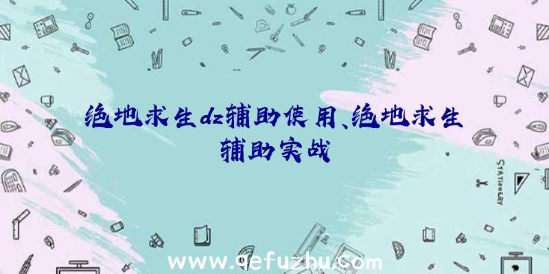 绝地求生dz辅助使用、绝地求生辅助实战