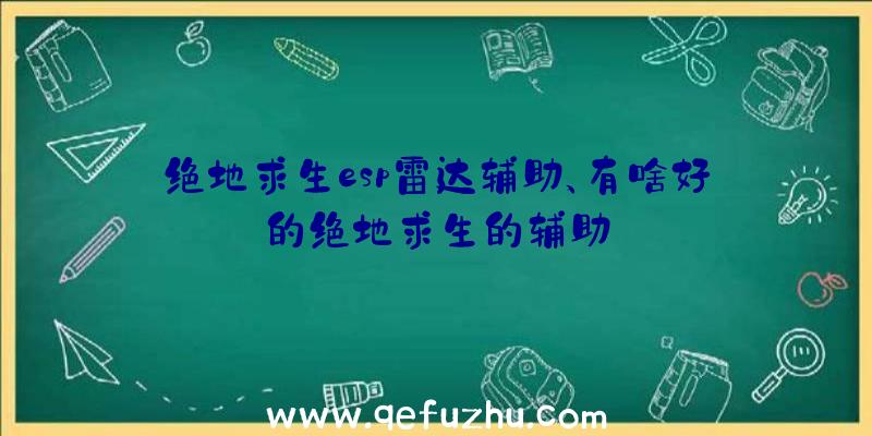 绝地求生esp雷达辅助、有啥好的绝地求生的辅助