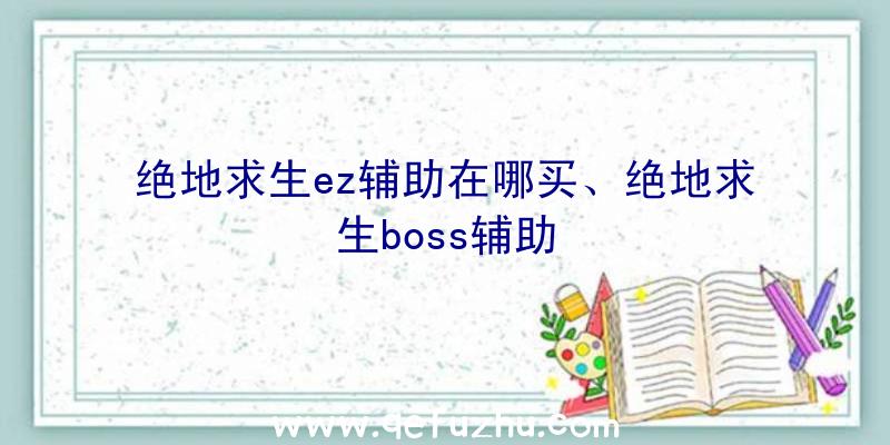 绝地求生ez辅助在哪买、绝地求生boss辅助