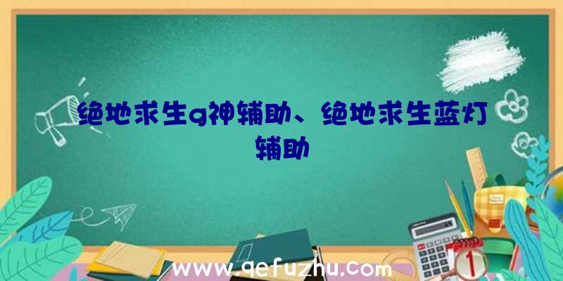 绝地求生g神辅助、绝地求生蓝灯辅助