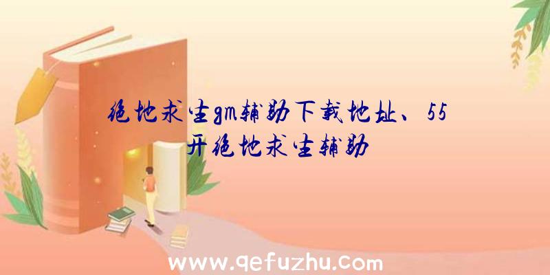 绝地求生gm辅助下载地址、55开绝地求生辅助