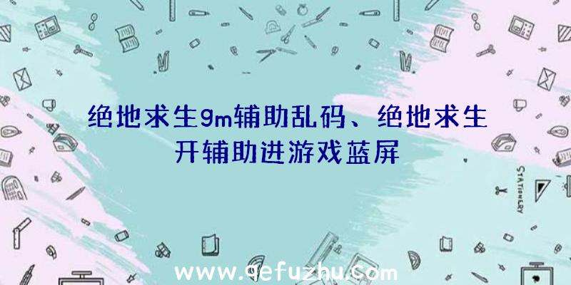 绝地求生gm辅助乱码、绝地求生开辅助进游戏蓝屏