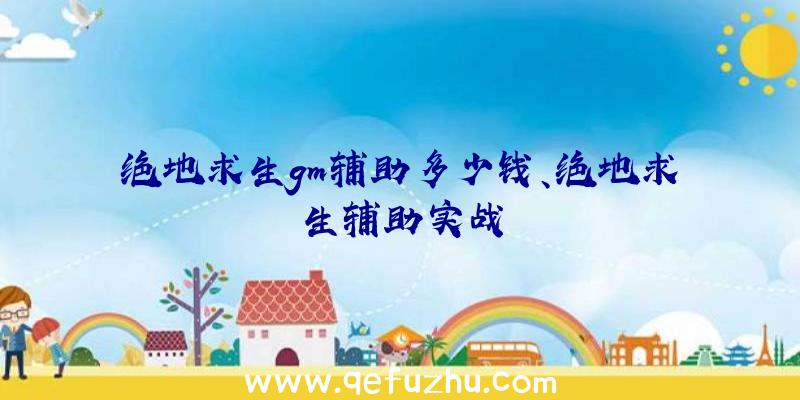 绝地求生gm辅助多少钱、绝地求生辅助实战