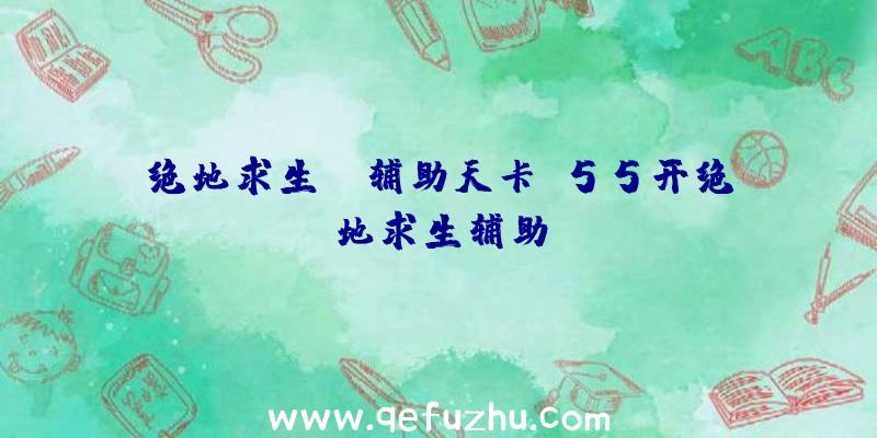 绝地求生gm辅助天卡、55开绝地求生辅助