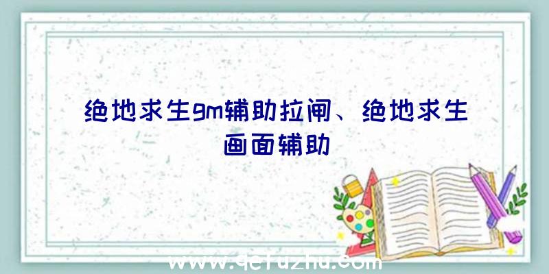 绝地求生gm辅助拉闸、绝地求生画面辅助