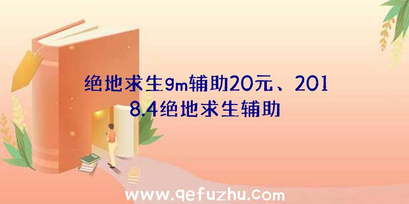 绝地求生gm辅助20元、2018.4绝地求生辅助