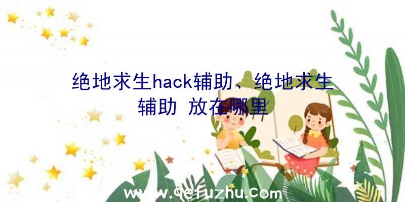 绝地求生hack辅助、绝地求生辅助