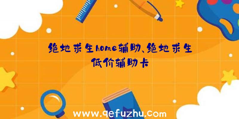 绝地求生home辅助、绝地求生低价辅助卡